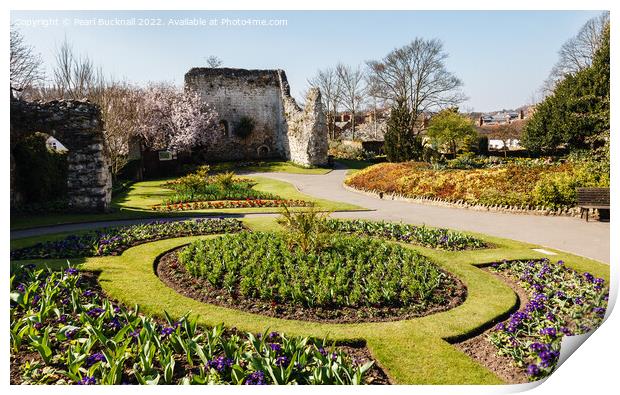 Guildford Castle Gardens Surrey Print by Pearl Bucknall