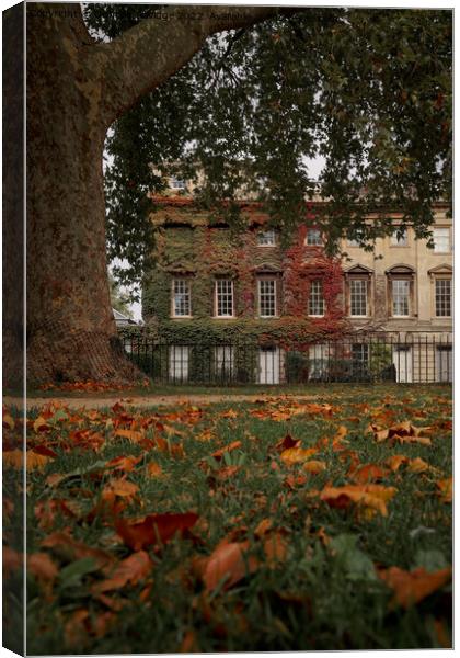 Autumn in Bath at Queens Square Canvas Print by Duncan Savidge