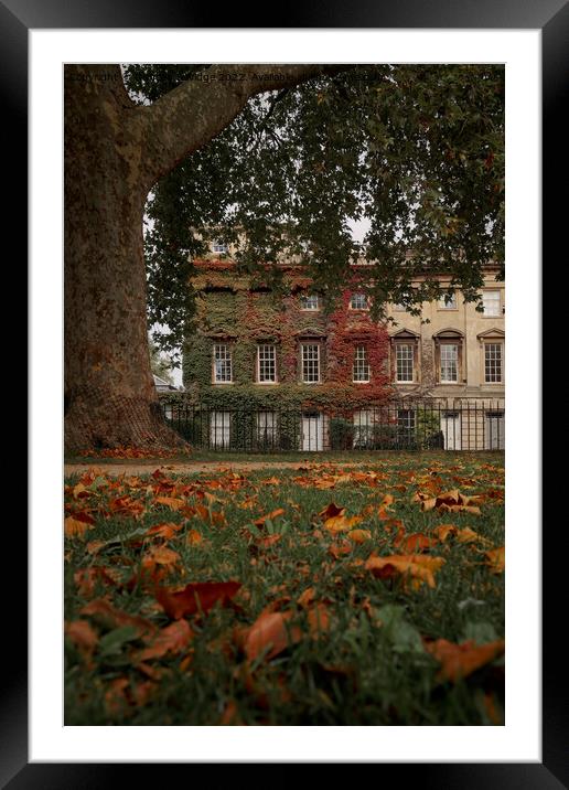 Autumn in Bath at Queens Square Framed Mounted Print by Duncan Savidge