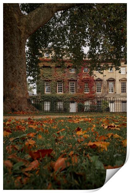 Autumn in Bath at Queens Square Print by Duncan Savidge