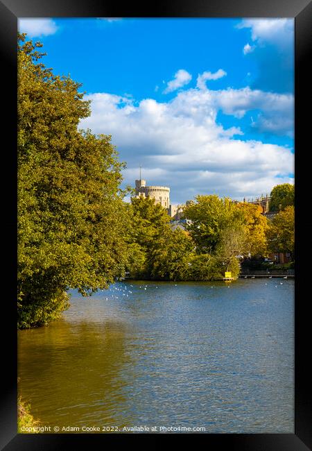 Windsor Castle | River Thames | Windsor Framed Print by Adam Cooke