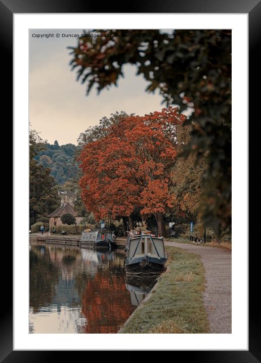 Kennet and Avon canal Autumn tree Framed Mounted Print by Duncan Savidge