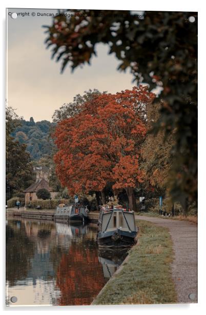 Kennet and Avon canal Autumn tree Acrylic by Duncan Savidge