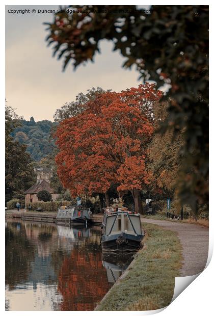 Kennet and Avon canal Autumn tree Print by Duncan Savidge