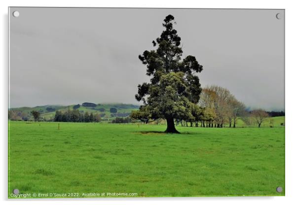 Lone Tree on the Paddock Acrylic by Errol D'Souza