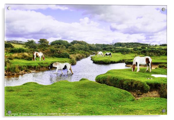 Bodmin Moor Ponies Acrylic by Diana Mower