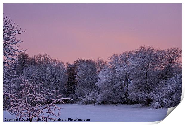Snow Scene at Sunrise Print by David Pringle