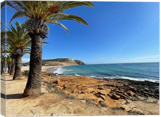 Praia Da Luz, Lagos, Algarve Portugal with palm trees and blue sky Canvas Print by Samuel Foster
