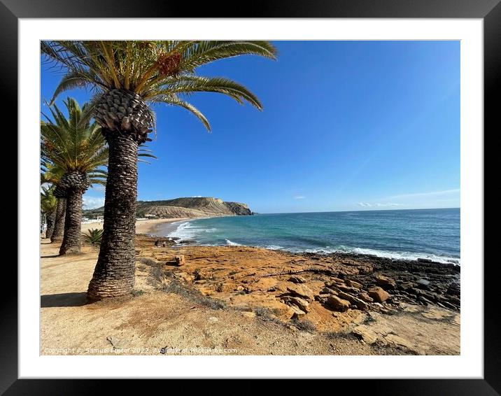 Praia Da Luz, Lagos, Algarve Portugal with palm trees and blue sky Framed Mounted Print by Samuel Foster