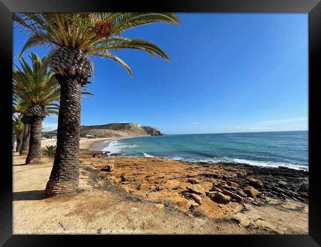 Praia Da Luz, Lagos, Algarve Portugal with palm trees and blue sky Framed Print by Samuel Foster