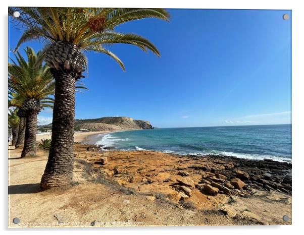 Praia Da Luz, Lagos, Algarve Portugal with palm trees and blue sky Acrylic by Samuel Foster