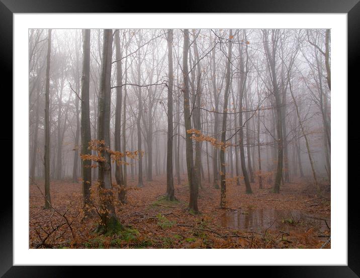 Woodland in Wet & Mist Framed Mounted Print by Sally Wallis