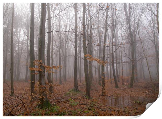Woodland in Wet & Mist Print by Sally Wallis