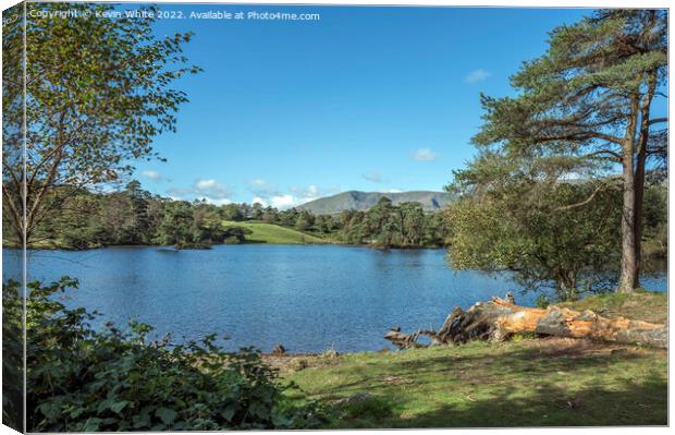 Tarn Hows in the Lake District Canvas Print by Kevin White