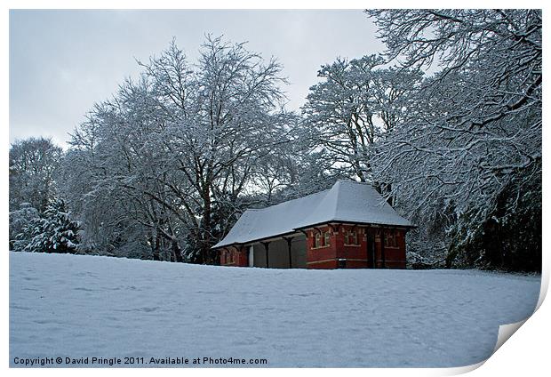 Pavilion In Snow Print by David Pringle