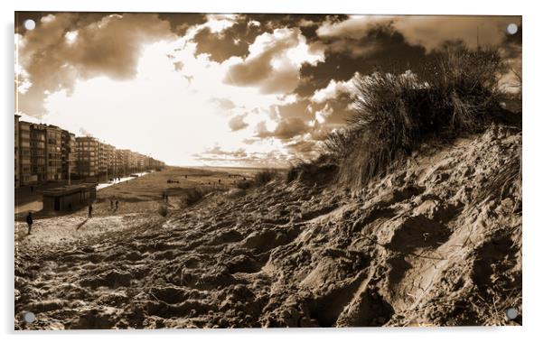 dune with sawgrass at Koksijde in sepia Acrylic by youri Mahieu