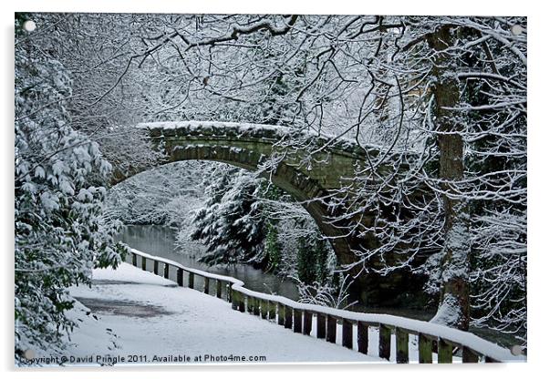 Bridge In Snow Acrylic by David Pringle