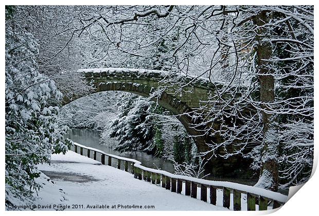 Bridge In Snow Print by David Pringle
