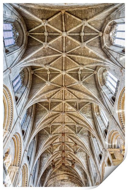 12th Century Vaulted Ceiling above the Nave, Malme Print by Derek Beattie