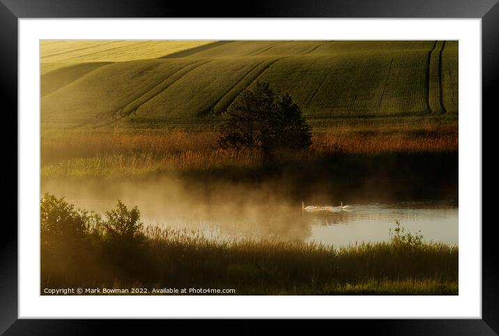 Swan Lake Framed Mounted Print by Mark Bowman