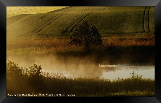 Swan Lake Framed Print by Mark Bowman