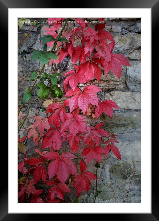 Autumn Leaves Framed Mounted Print by Christine Lake