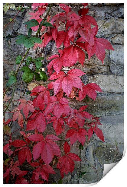 Autumn Leaves Print by Christine Lake
