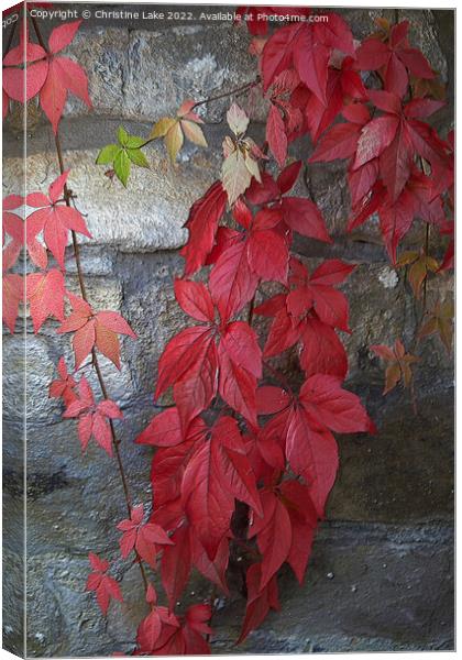 Autumn Leaves 2 Canvas Print by Christine Lake