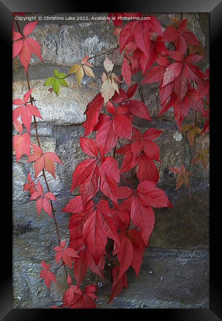 Autumn Leaves 2 Framed Print by Christine Lake