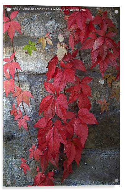 Autumn Leaves 2 Acrylic by Christine Lake