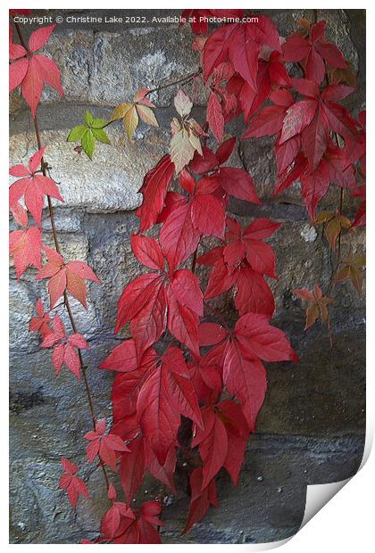 Autumn Leaves 2 Print by Christine Lake