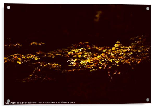 sunlit leaves Acrylic by Simon Johnson