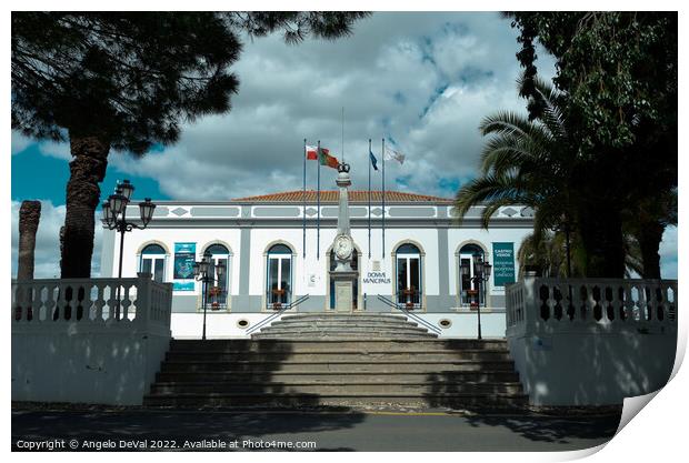 District Council of Castro Verde Print by Angelo DeVal
