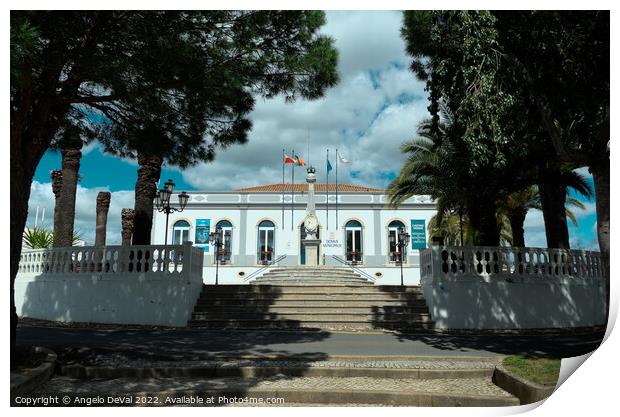 District Council of Castro Verde - Alentejo Print by Angelo DeVal