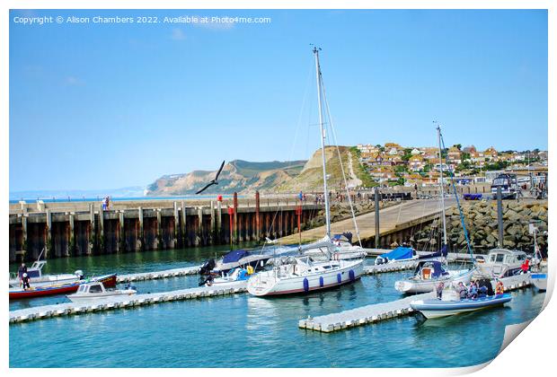 West Bay Harbour Dorset Print by Alison Chambers