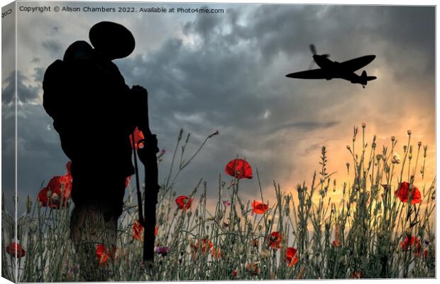 Lest We Forget The Unknown Soldier  Canvas Print by Alison Chambers