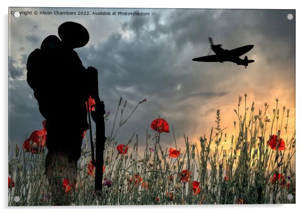 Lest We Forget The Unknown Soldier  Acrylic by Alison Chambers