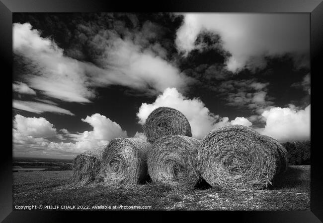 Hay bales landscape in black and white. 798 Framed Print by PHILIP CHALK