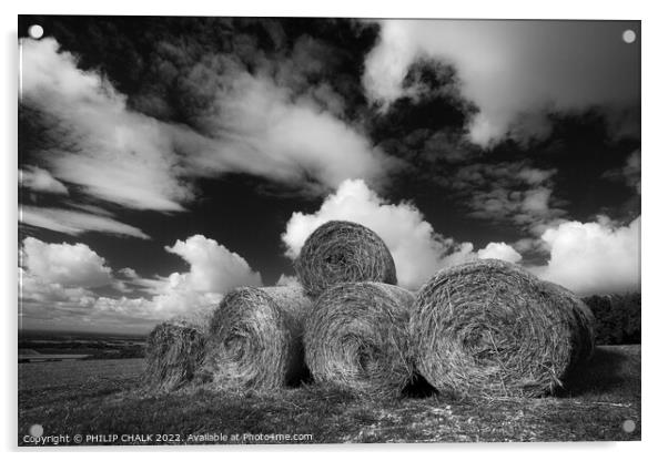 Hay bales landscape in black and white. 798 Acrylic by PHILIP CHALK