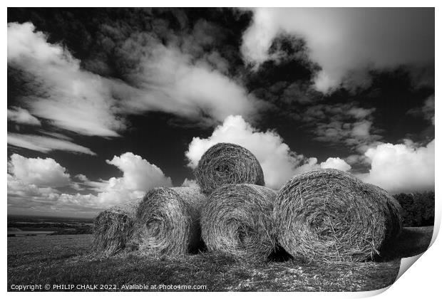 Hay bales landscape in black and white. 798 Print by PHILIP CHALK