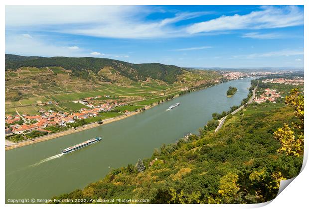 Vineyards by the Danube river in Wachau valley. Lower Austria. Print by Sergey Fedoskin