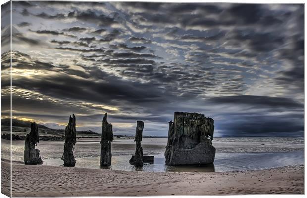 Favourite old wreck Canvas Print by Sam Smith