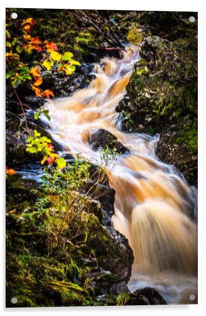 Thunderous Beauty of Scottish Falls Acrylic by DAVID FRANCIS