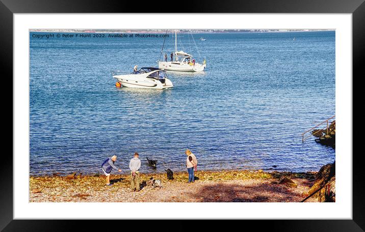 Boats A Beach People And Dogs  Framed Mounted Print by Peter F Hunt