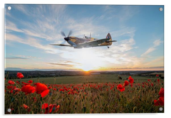 Spitfire Dedication Pass Acrylic by J Biggadike