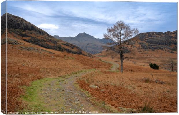 The path to Langdale Pikes Canvas Print by Dominic Shaw-McIver