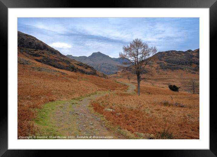 The path to Langdale Pikes Framed Mounted Print by Dominic Shaw-McIver