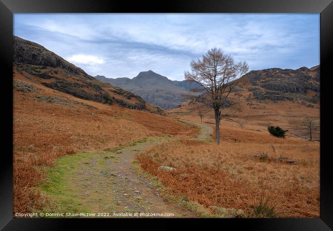 The path to Langdale Pikes Framed Print by Dominic Shaw-McIver