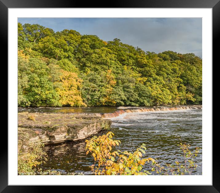 Autumn Tints at Whorlton, Teesdale  Framed Mounted Print by Richard Laidler