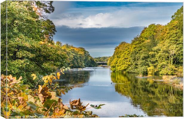 Autumn Tints at Wycliffe, Teesdale Canvas Print by Richard Laidler